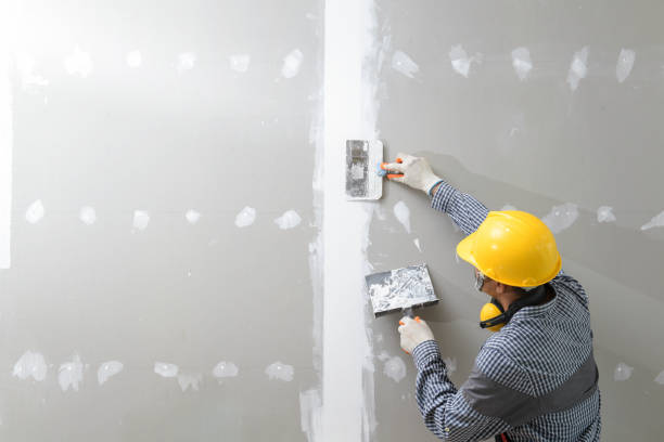 Environmental Consulting for Mold Prevention in Barboursville, WV